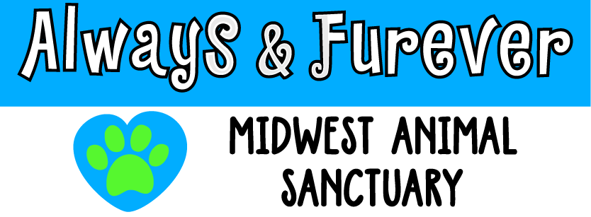 Always and Furever Midwest Animal Sanctuary